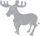 Deer Clipart
