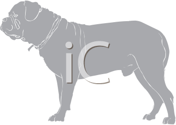 Pet Clipart