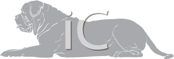 Pet Clipart