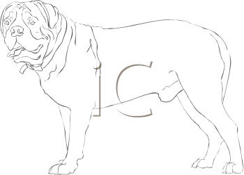 Dog Clipart