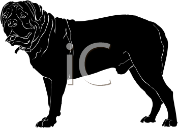 Pet Clipart