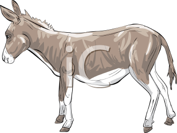 Farm Animal Clipart