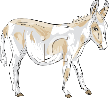 Farm Animal Clipart