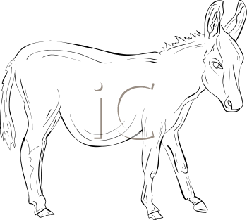 Farm Animal Clipart