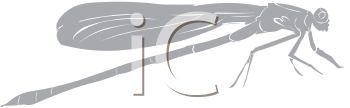 Insect Clipart