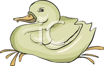 Bird Clipart