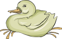 Bird Clipart