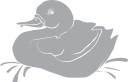 Bird Clipart