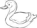 Bird Clipart