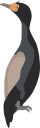 Bird Clipart