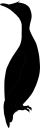 Bird Clipart