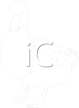 Bird Clipart