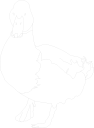 Bird Clipart