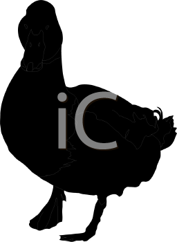 Bird Clipart