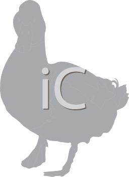 Bird Clipart