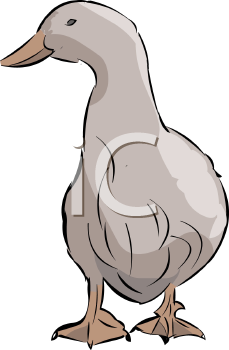 Bird Clipart