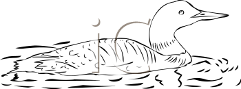 Bird Clipart