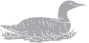 Bird Clipart