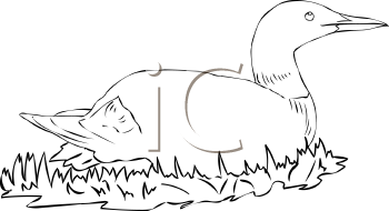 Farm Animal Clipart