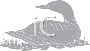 Bird Clipart