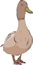 Bird Clipart