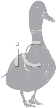 Bird Clipart