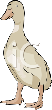 Bird Clipart