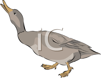 Bird Clipart