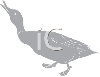 Bird Clipart