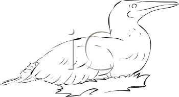 Farm Animal Clipart