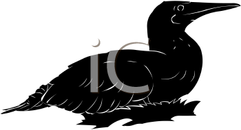 Bird Clipart