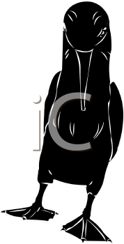 Bird Clipart
