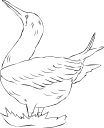 Bird Clipart