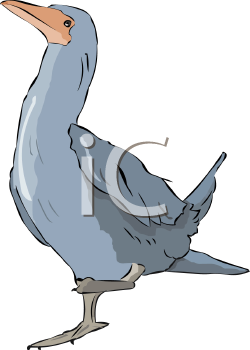 Bird Clipart