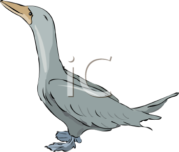 Farm Animal Clipart