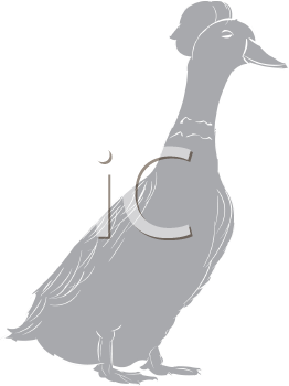 Bird Clipart