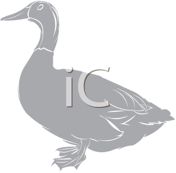 Bird Clipart