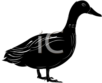 Farm Animal Clipart