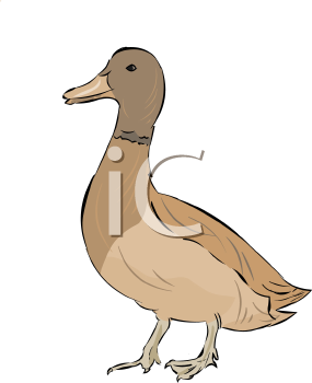 Farm Animal Clipart