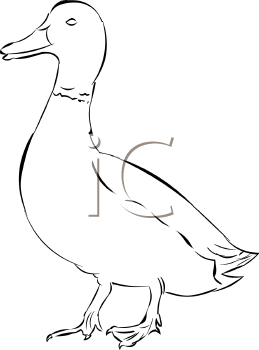 Farm Animal Clipart