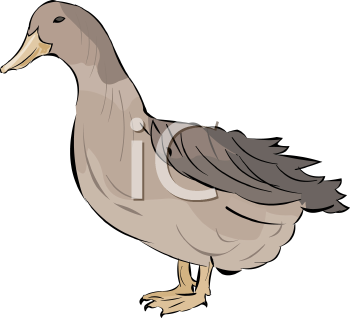 Farm Animal Clipart