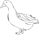 Bird Clipart