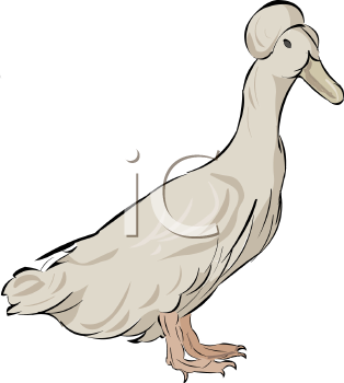 Farm Animal Clipart