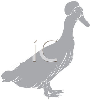 Farm Animal Clipart