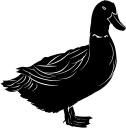 Bird Clipart
