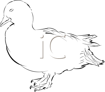 Farm Animal Clipart