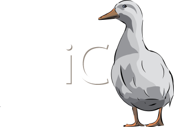 Bird Clipart