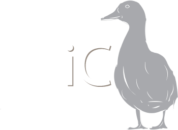 Bird Clipart