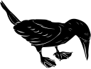 Bird Clipart