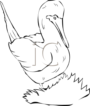 Bird Clipart